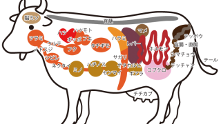 部位ごとの肉の名前 牛の肉編 炭火焼肉 雅 公式 炭火焼肉 雅 公式